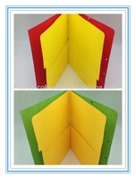 Carpeta Organizadora de Papel Económica de 3 Partes y 2 Bolsillos con Cierre Elástico y Solapa para la Escuela