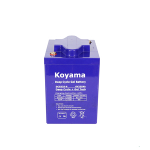Batería de gel de ciclo profundo OEM <span class=keywords><strong>6V</strong></span> 225Ah, batería de carrito de golf, T105, 2, 1, 2, 2, 2, 2, 2, 2 - Product Image 2