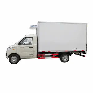 Foton v1 euro 5 caminhão refrigerado pequeno para legumes e frutas transportes em chile