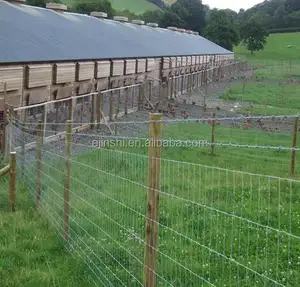 Hochfesten ranch zaun für tier schutz