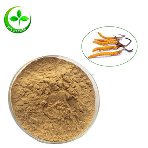 Fonte da fábrica melhor preço de <span class=keywords><strong>cordyceps</strong></span> sinensis extrato em pó - Product Image 1