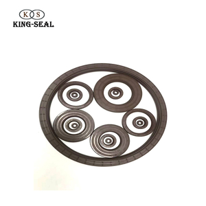 자격이 된 제조자 pos 변속기 FKM + 봄 회전하는 갱구 오일 시일 - Product Image 5