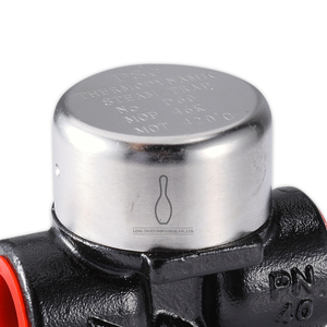 วาล์วเกลียวดักไอน้ำทางอุณหพลศาสตร์เหล็กคาร์บอน - Product Image 5