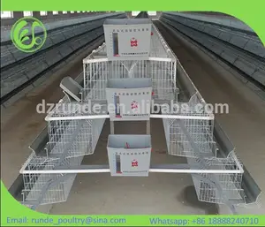 Chine fabricant conception couche poulet cages à vendre