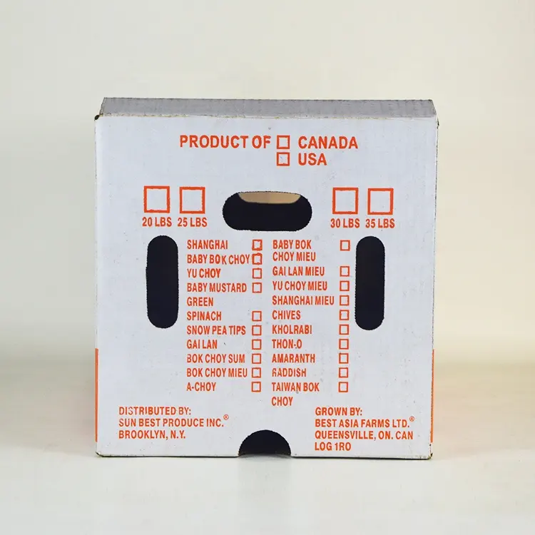 Custom Design Recyceln Well Karton Box Lebensmittel obst frische ananas export Verpackung wellpappe box