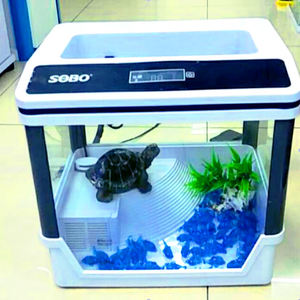 Reptile Plate-Forme Flottante Tortue Tortue Tortue Terrarium Aquarium Réservoir Déco - Product Image 1