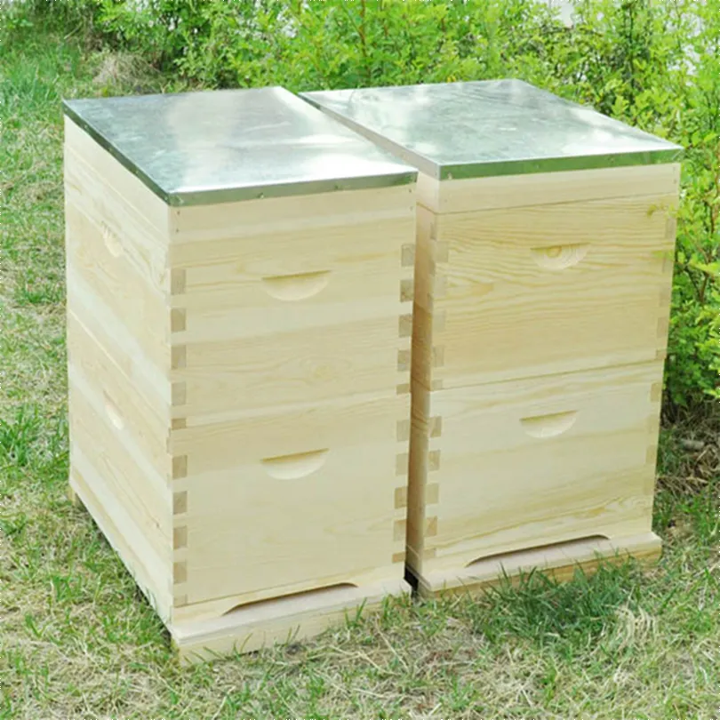 Caja de colmena de abeja de madera Caja de colmena de abeja australiana