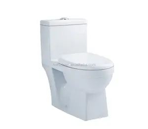 Roca Washdown Toilet Cheap One Piece Toilet (HOT-28)