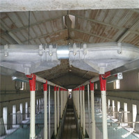 Maison de cochon préfabriquée professionnelle Qingdao Ejoy nouvelle condition Structure en acier préfabriquée conception de porcherie