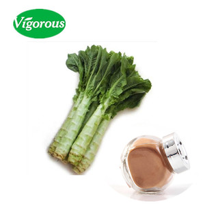 Échantillons gratuits d'extrait de <span class=keywords><strong>laitue</strong></span> <span class=keywords><strong>sauvage</strong></span>/extrait de <span class=keywords><strong>laitue</strong></span> <span class=keywords><strong>sauvage</strong></span> en poudre/extrait de <span class=keywords><strong>laitue</strong></span> <span class=keywords><strong>sauvage</strong></span> P.E. - Product Image 1