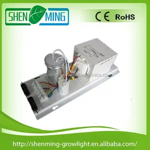 Grow lamp transformer 600 w HPS 镇流器制造商