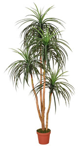 Planta artificial decorativa artificial <span class=keywords><strong>yuca</strong></span> plantas y <span class=keywords><strong>árbol</strong></span>es - Product Image 5