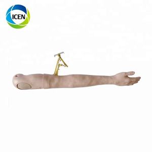 EN 410 Hôpital médical d'éducation enseignement humain modèle <span class=keywords><strong>Prostate</strong></span> <span class=keywords><strong>Simulateur</strong></span> D'examen - Product Image 4