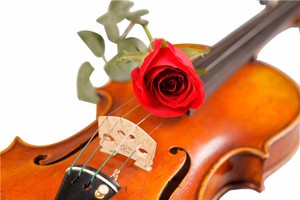 (TL007-4) <span class=keywords><strong>Super</strong></span> Calidad Venta de La Fábrica Mejor todos los tamaños estudiante de violín, violín violín - Product Image 2