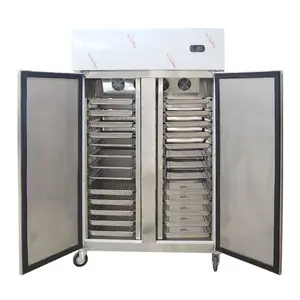 Stainless Steel Deep Ledakan Tegak Outdoor Freezer Komersial