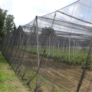 100gsm bianco hdpe UV di <span class=keywords><strong>plastica</strong></span> anti insetto barriera schermo serra agricoltura fly pest protezione delle piante di compensazione 2*100m - Product Image 5