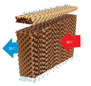 Paneles de enfriamiento evaporativo para invernadero