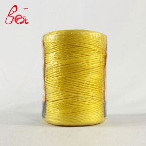 Trung Quốc Nhà cung cấp của nhựa <span class=keywords><strong>twine</strong></span> dây thừng và nông nghiệp Cà Chua Đóng gói <span class=keywords><strong>twine</strong></span> nhà kính PP phim <span class=keywords><strong>twine</strong></span> - Product Image 2