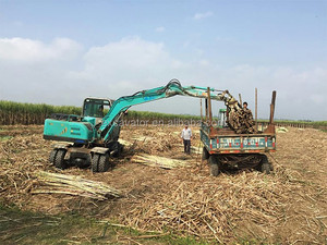 Hidráulico <span class=keywords><strong>caña</strong></span> lidiar excavadora de ruedas con el tronco de madera y piedra giratoria agarrar cargadora de <span class=keywords><strong>caña</strong></span> - Product Image 2