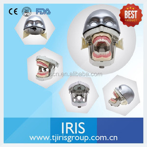 NISSIN maniquíes y modelos Dentales/Fantasma Cabeza Dentales para clases de enseñanza y aprendizaje en dental - Product Image 2