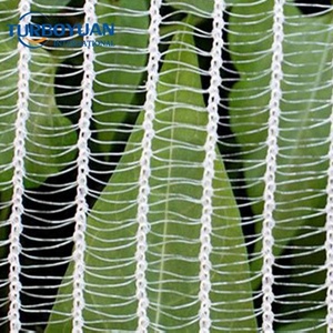 <span class=keywords><strong>Malla</strong></span> de Plástico Tejido de HDPE <span class=keywords><strong>para</strong></span> Protección de Tomates en Exteriores, <span class=keywords><strong>Malla</strong></span> de Enrejado <span class=keywords><strong>para</strong></span> Protección contra <span class=keywords><strong>Granizo</strong></span> - Product Image 2