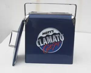All Colour 13 Litro De Metal No Peito do PLUTÔNIO da Espuma Cooler Box, Cor Personalizada Disponível