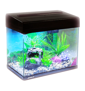 Al por mayor Betta peces beta tanque acuaponia - Product Image 4