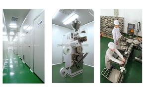 Adesivo detox de gengibre natural, venda imperdível, detoxificação de pé, toxin, corpo puro - Product Image 6