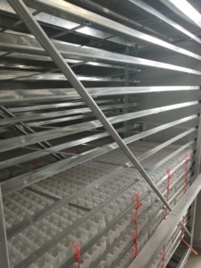 Công suất lớn năng lượng mặt trời gà trứng lồng ấp - Product Image 6