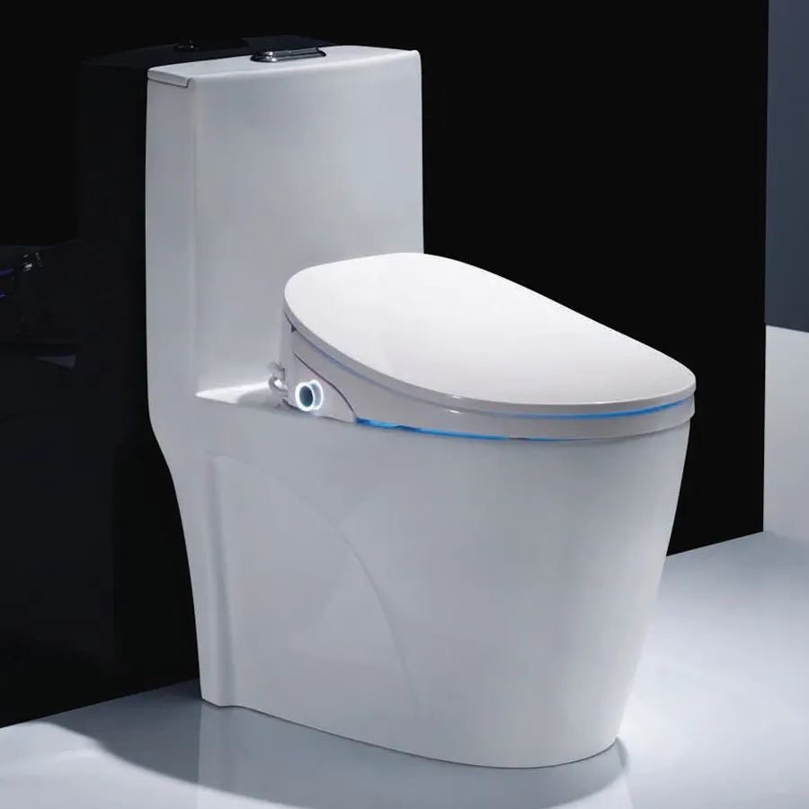 유럽 스타일 새로운 스마트 비데 화장실
