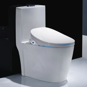 Toilet Bidet Pintar Gaya Eropa Baru