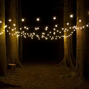 מושלם חיצוני מסיבת גן חתונת בחצר האחורית חג המולד קפה גלוב אור הנורה מחרוזות