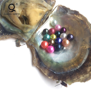 L'ostréiculture Vente Emballés Sous Vide Aaa Ronde Oyster <span class=keywords><strong>Perle</strong></span> <span class=keywords><strong>Prix</strong></span> - Product Image 2
