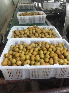 100% huerto <span class=keywords><strong>fruta</strong></span> dulce <span class=keywords><strong>longan</strong></span> fresca - Product Image 6