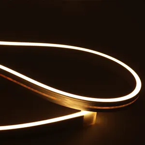 12V 3000K Flexibele Led Neon Light Strip