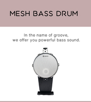 Kit de Batterie Électronique Lemon Drum E Drum T650