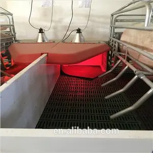 Durable chauffage incubateur de porcelet pour ferme d'élevage composite incubateur pour porc