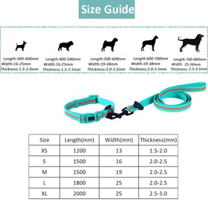 Collar de PVC respetuoso con el medio ambiente para perro, Correa y hebilla de Metal de oro rosa para caza al aire libre - Product Image 3