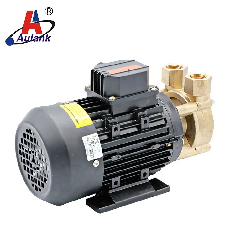 WD China Factory Price Electric Hot Water Pumps