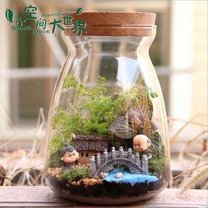 Vendite Dirette della fabbrica Mouthblown Borosilicato di Vetro <span class=keywords><strong>Piante</strong></span> Terrario/Vaso Di Vetro 11.5 centimetri * 12.5 centimetri 10 centimetri * 12.5cm - Product Image 1