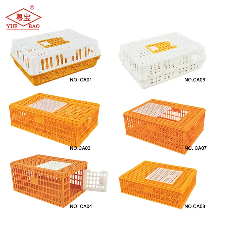 निर्माताओं की आपूर्ति उच्च गुणवत्ता प्रजनन मुर्गियों उत्पादों के परिवहन के लिए प्लास्टिक पशु चिकन पिंजरे