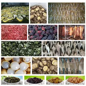 Guangzhou fabrika düşük fiyat muz cips betel fındık kayısı zencefil yayın balığı mısır erik koza kurutma makinesi