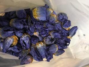 1000g Blue lotus blossom essiccato intero colore blu fiori chiusi acqua fiori di giglio blu in vendita - Product Image 3
