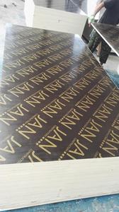Фанера с пленочным покрытием 12 мм, 15 мм, 18 мм - Product Image 5
