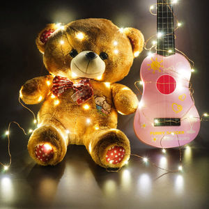 Nhà Máy Giá Mini Led Dây Đồng Tiên String Lights Battery Operated - Product Image 5