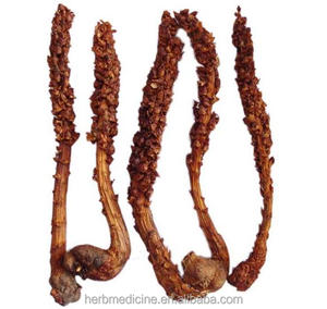Pièces de Broomrape entières séchées Liedang Champignon de plante de Broomrape naturel à vendre - Product Image 2