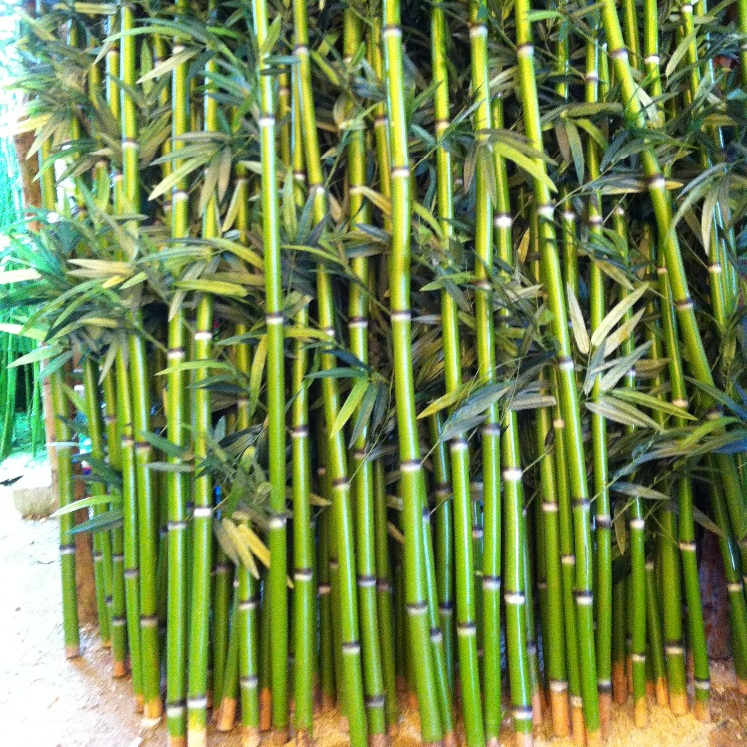 Pohon Bambu Palsu Bambu Buatan, Pohon Bambu Palsu, Benar-benar Batang Bambu, Beruntung untuk Dekorasi