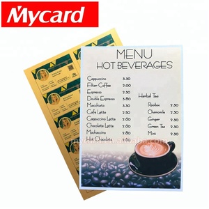 Hojas de PVC imprimibles de inyección de tinta de plata A4 para tarjetas de identificación de fotos de plástico - Product Image 4