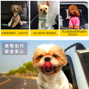 Toptan Pet köpek araba koltuğu koşum kemeri kurşun araç taşıyıcılar ve seyahat ürünü - Product Image 4