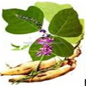 <span class=keywords><strong>Puerarin</strong></span> Flavonoids <span class=keywords><strong>30%</strong></span> Guality Kudzu Root Extract Pó 98% <span class=keywords><strong>Puerarin</strong></span> 3681-99-0 - Product Image 2